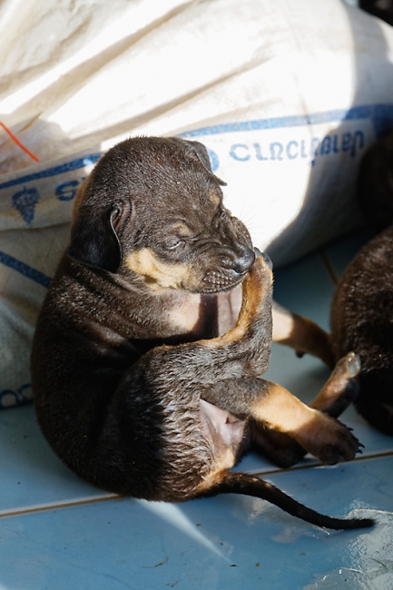 Famille et amis-MAI17-016